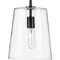 Progress Lighting Clarion Collection Black One-Light Small Pendant P500241-031 - alternate 1